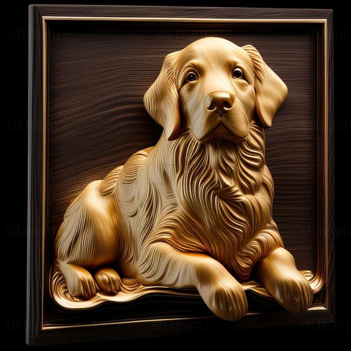 Animals Golden Retriever dog